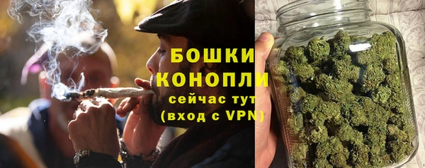 дмт Белокуриха