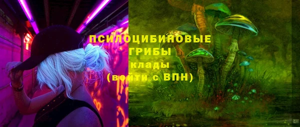 дмт Белокуриха