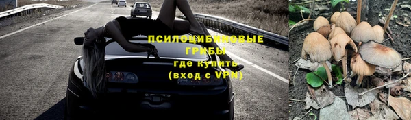дмт Белокуриха