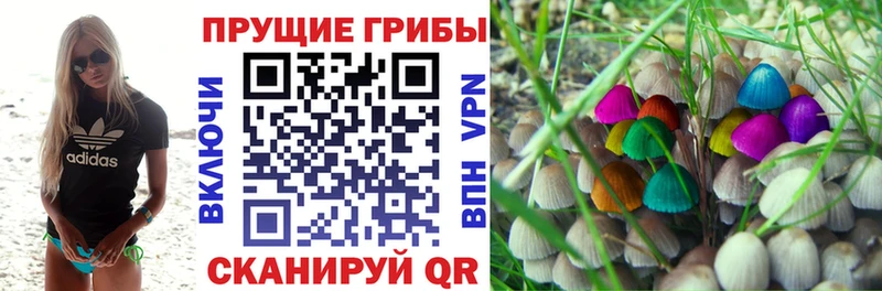 Псилоцибиновые грибы мухоморы Емва
